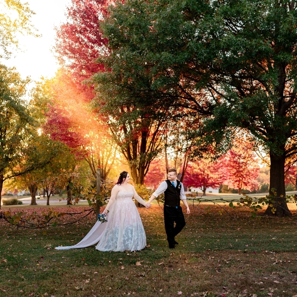 Meet your Posher, Tabitha. - Picture 4 of 4